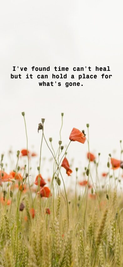 Taylor Swift Wallpaper Lockscreen
Spotify Lyrics
Taylor Swift Aesthetic Lockscreen
Taylor Swift Wallpaper Lyrics Aesthetic
Taylor Swift Phone Wallpaper Lyrics
Taylor Swift Wallpaper Aesthetic Lyrics
Taylor Swift Quotes Aesthetic
Taylor Swift Funny

Speak Now Taylor Swift Lockscreen
Taylor Swift Phone Wallpaper Collage
Taylor Swift Themed Phone Wallpaper
