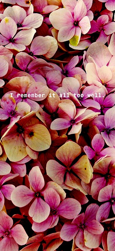 Taylor Swift Wallpaper Lockscreen
Spotify Lyrics
Taylor Swift Aesthetic Lockscreen
Taylor Swift Wallpaper Lyrics Aesthetic
Taylor Swift Phone Wallpaper Lyrics
Taylor Swift Wallpaper Aesthetic Lyrics
Taylor Swift Quotes Aesthetic
Taylor Swift Funny

Speak Now Taylor Swift Lockscreen
Taylor Swift Phone Wallpaper Collage
Taylor Swift Themed Phone Wallpaper