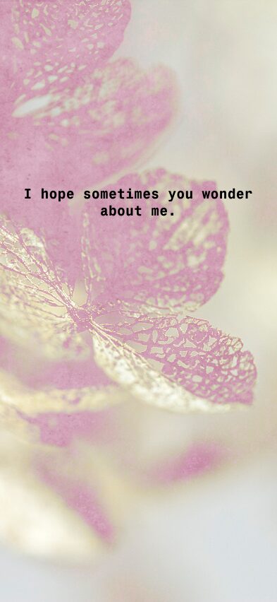 Taylor Swift Wallpaper Lockscreen
Spotify Lyrics
Taylor Swift Aesthetic Lockscreen
Taylor Swift Wallpaper Lyrics Aesthetic
Taylor Swift Phone Wallpaper Lyrics
Taylor Swift Wallpaper Aesthetic Lyrics
Taylor Swift Quotes Aesthetic
Taylor Swift Funny

Speak Now Taylor Swift Lockscreen
Taylor Swift Phone Wallpaper Collage
Taylor Swift Themed Phone Wallpaper