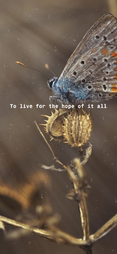 Taylor Swift Wallpaper Lockscreen
Spotify Lyrics
Taylor Swift Aesthetic Lockscreen
Taylor Swift Wallpaper Lyrics Aesthetic
Taylor Swift Phone Wallpaper Lyrics
Taylor Swift Wallpaper Aesthetic Lyrics
Taylor Swift Quotes Aesthetic
Taylor Swift Funny

Speak Now Taylor Swift Lockscreen
Taylor Swift Phone Wallpaper Collage
Taylor Swift Themed Phone Wallpaper